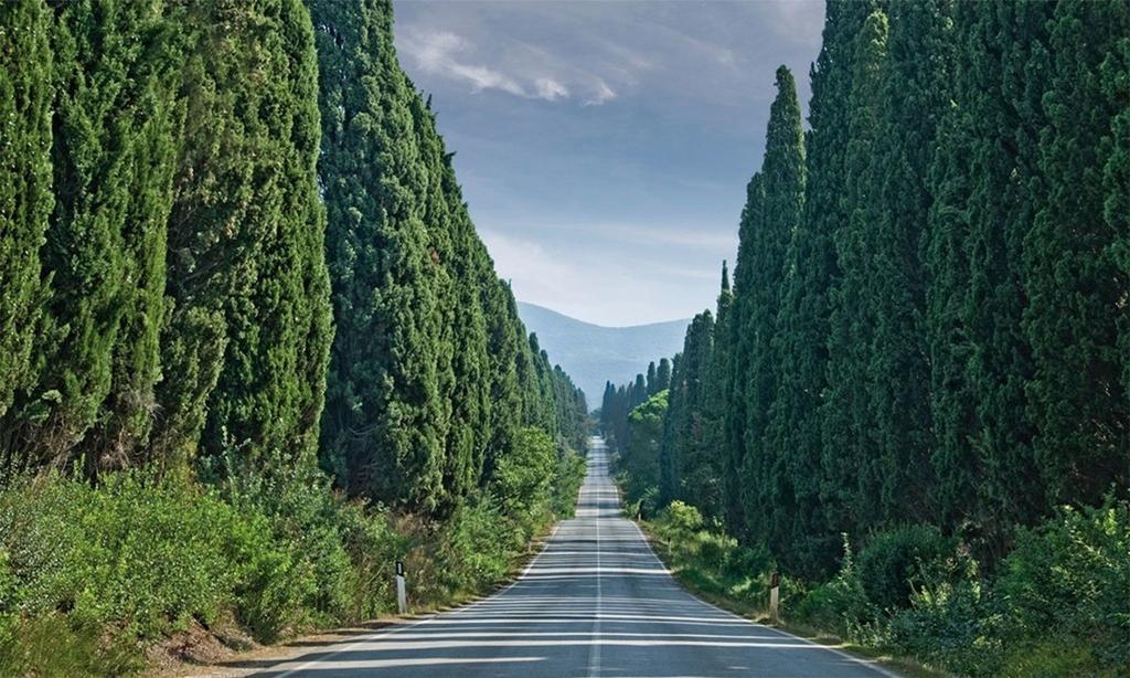 Agriturismo Ss Annunziata 圣温琴佐 外观 照片