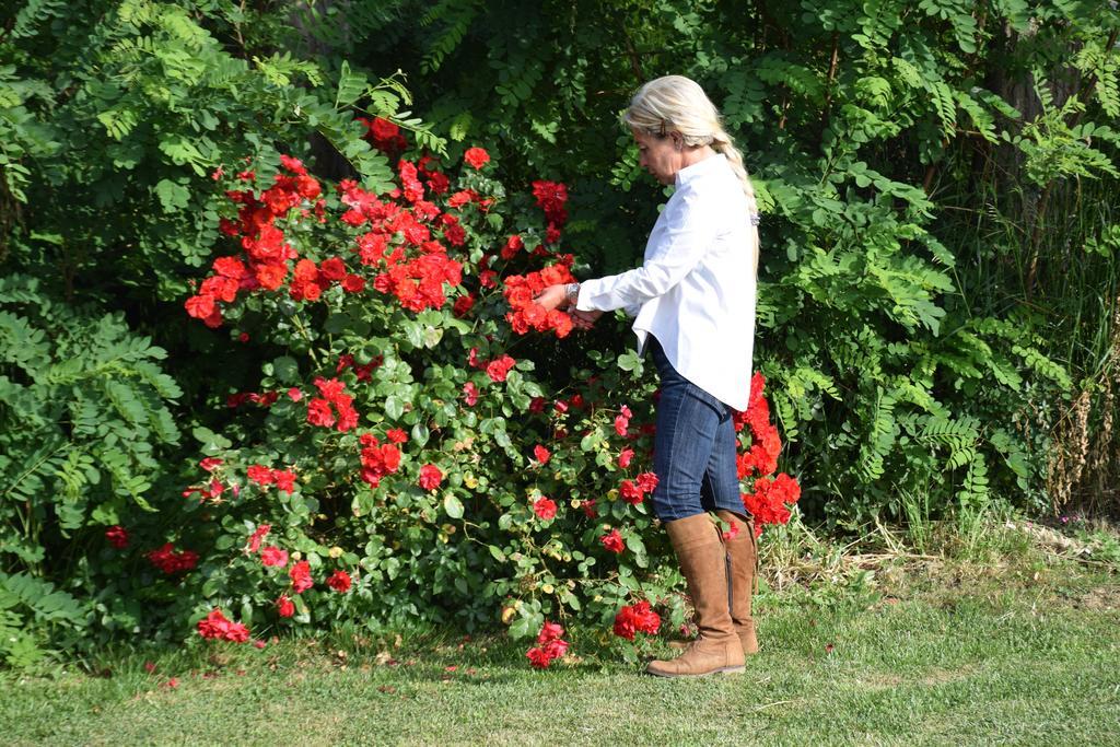 Agriturismo Ss Annunziata 圣温琴佐 外观 照片